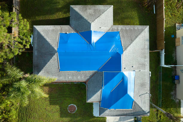 Best Sheet Metal Roofing  in Trenton, NJ